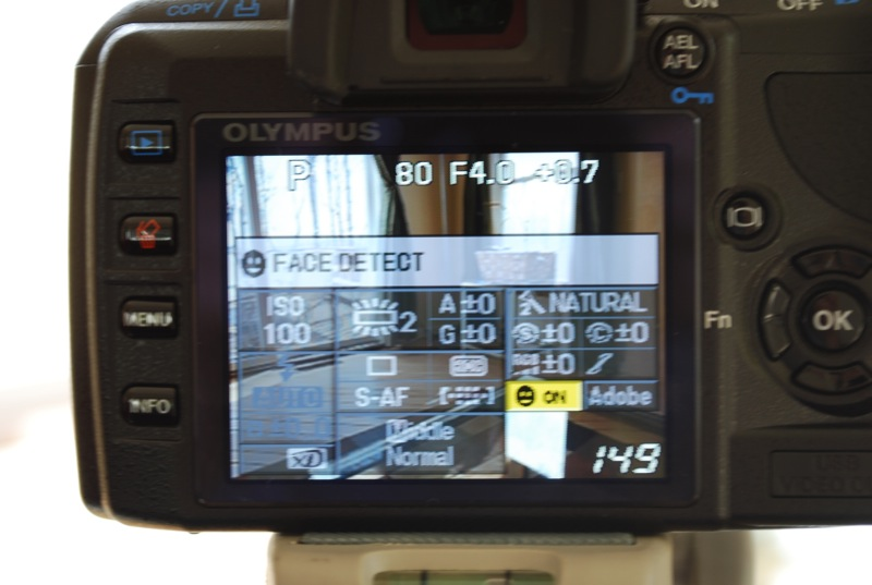 Illustration for article titled Lightning Review: Olympus E-420, the World's Smallest, Lightest, Cheapest DSLR